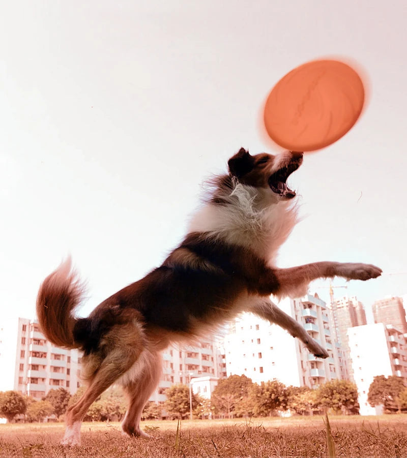 Interactive Flying Disc Ring Toy for Dogs