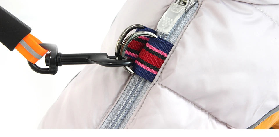 Reflective Waterproof Dog Winter Jacket - Warm Padded Coat for Small Dogs