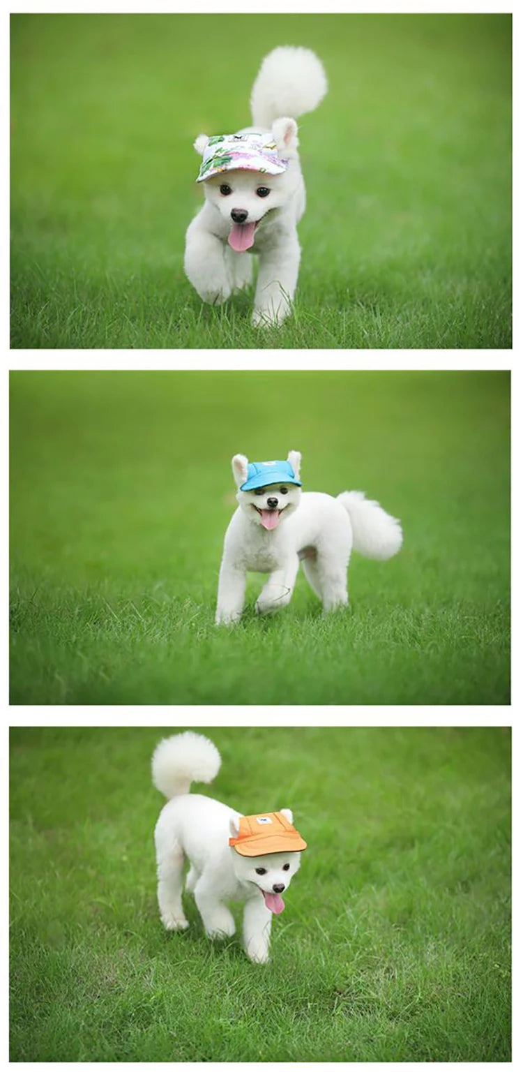 Fashion Print Pet Baseball Cap for Dogs & Cats