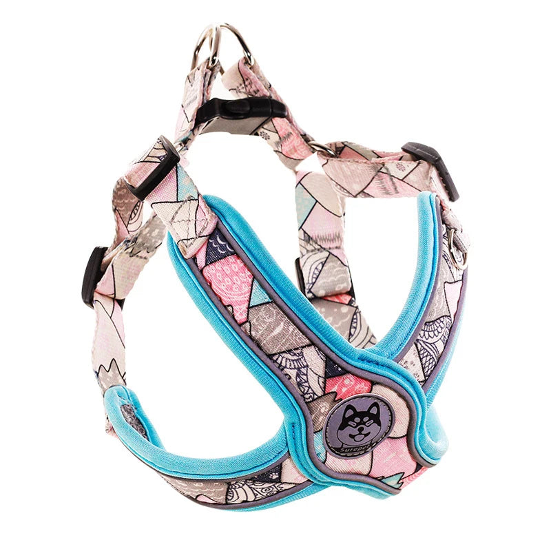 Adjustable Dog Harness & Leash Set