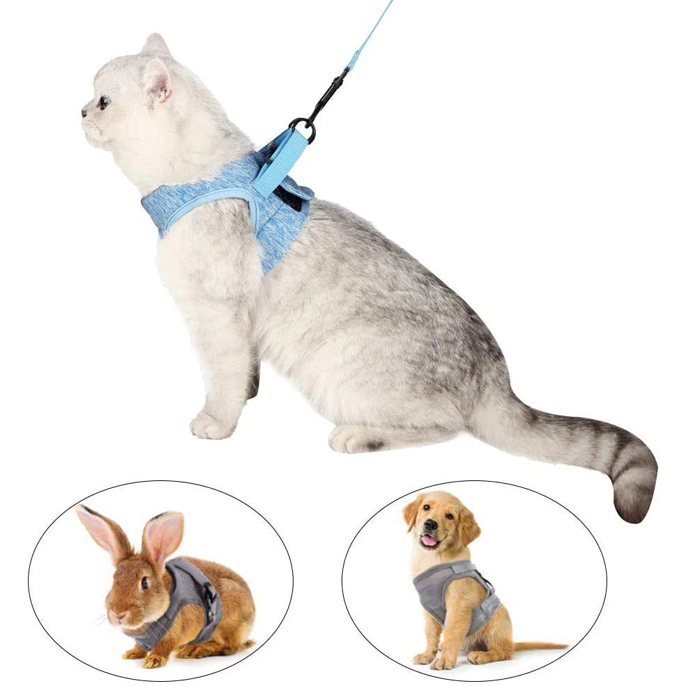 Anti-Escape Kitten Harness & Leash Set