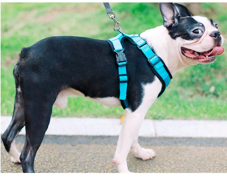 Breathable Mesh Vest Harness for Dogs & Cats
