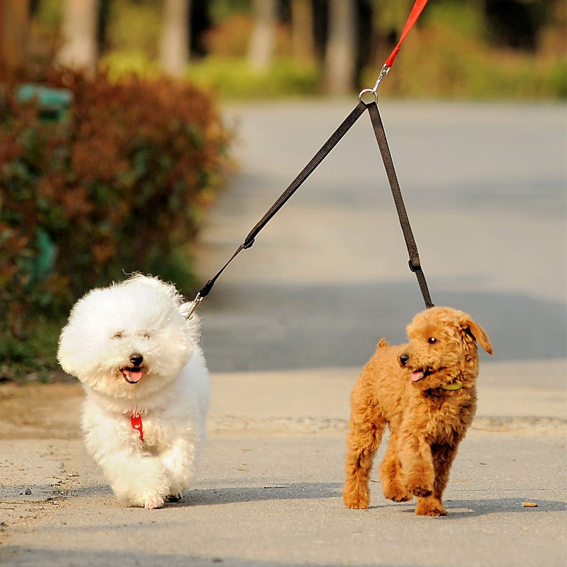 Double Dog Leash Coupler for Walking Two Dogs