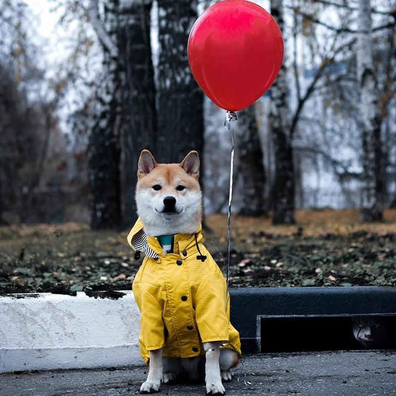 Waterproof Windproof Dog Sport Hoodie Coat