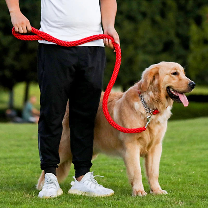 Heavy-Duty Nylon Dog Lead