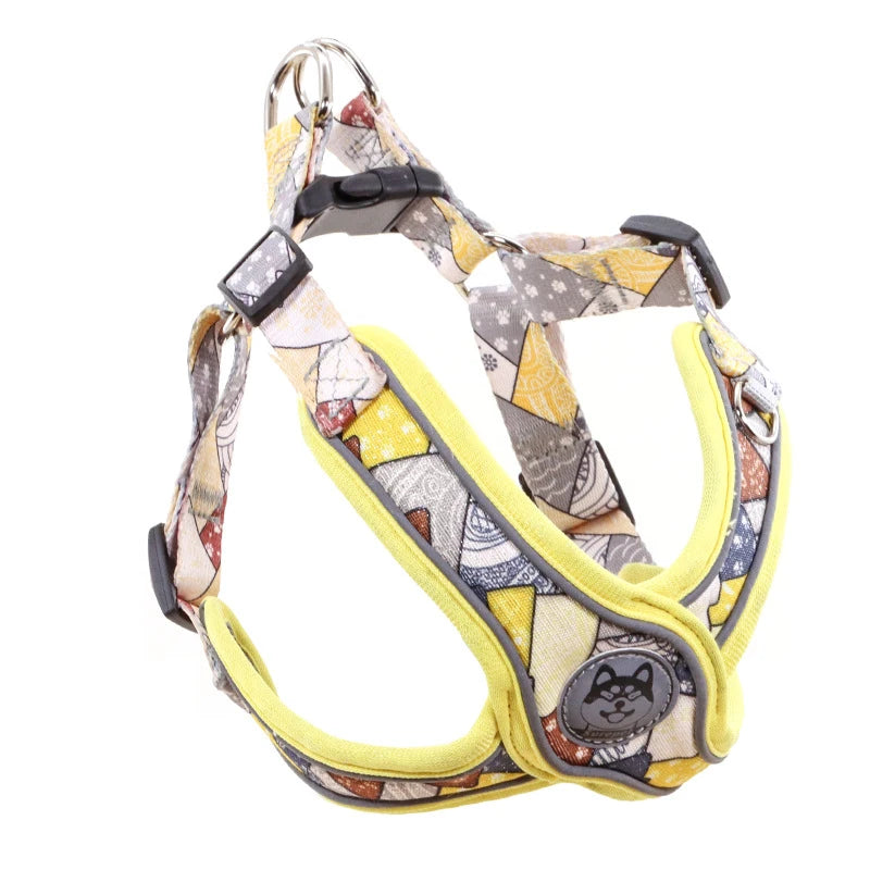 Adjustable Dog Harness & Leash Set