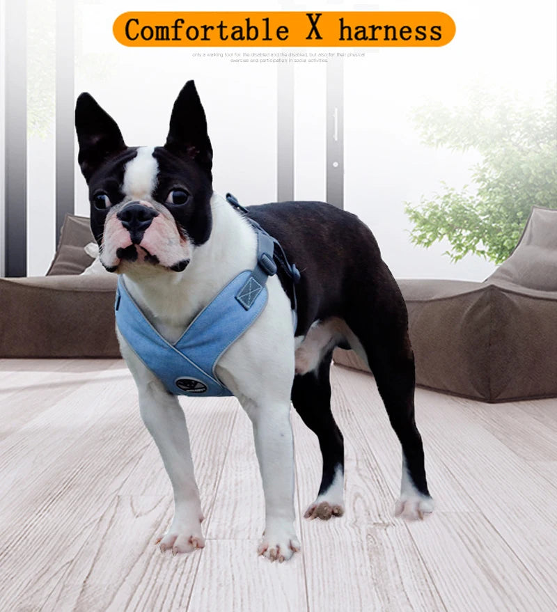 Reflective Mesh Dog Harness & Leash Set for Small & Medium Dogs