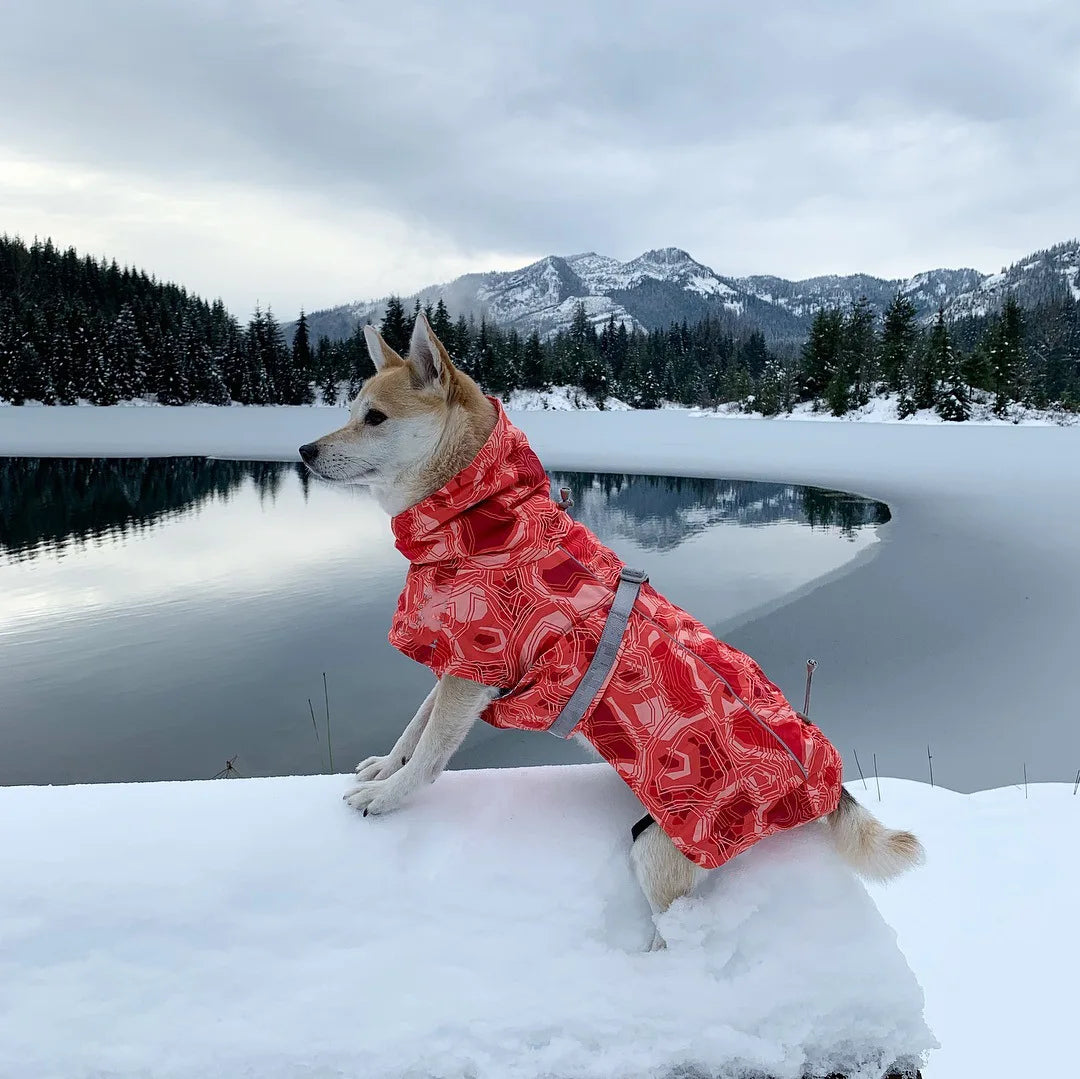 Waterproof Winter Dog Jacket – Warm Outfit for Small, Medium & Large Dogs
