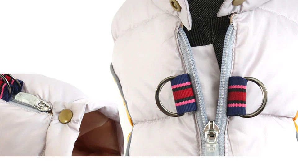 Reflective Waterproof Dog Winter Jacket - Warm Padded Coat for Small Dogs