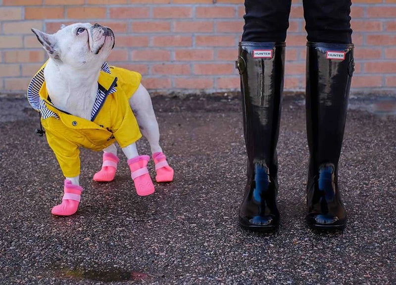 Waterproof Windproof Dog Sport Hoodie Coat