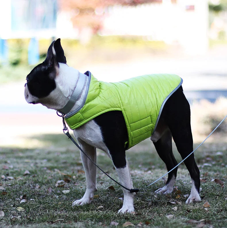 Reversible Waterproof Winter Down Jacket for Small & Medium Dogs