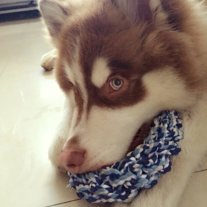 Round Rope Chew Toy for Medium & Large Dogs