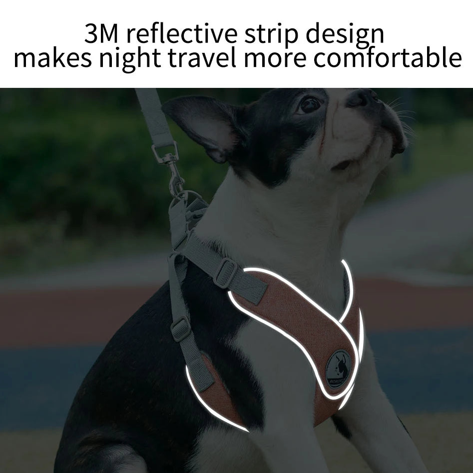 Reflective Mesh Dog Harness & Leash Set for Small & Medium Dogs