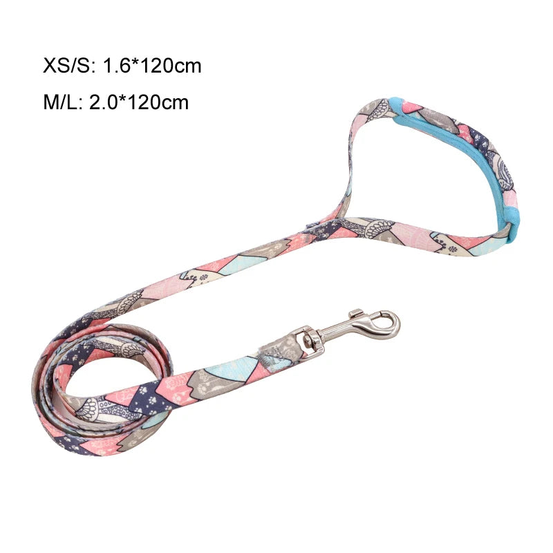 Adjustable Dog Harness & Leash Set