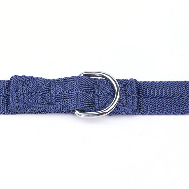 Dual Pet Leash 190cm - V-Shape Twin Lead for Two Dogs or Cats