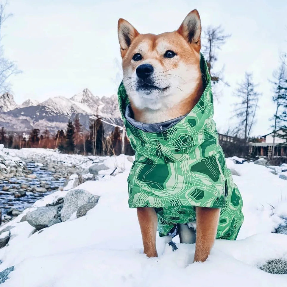 Waterproof Winter Dog Jacket – Warm Outfit for Small, Medium & Large Dogs