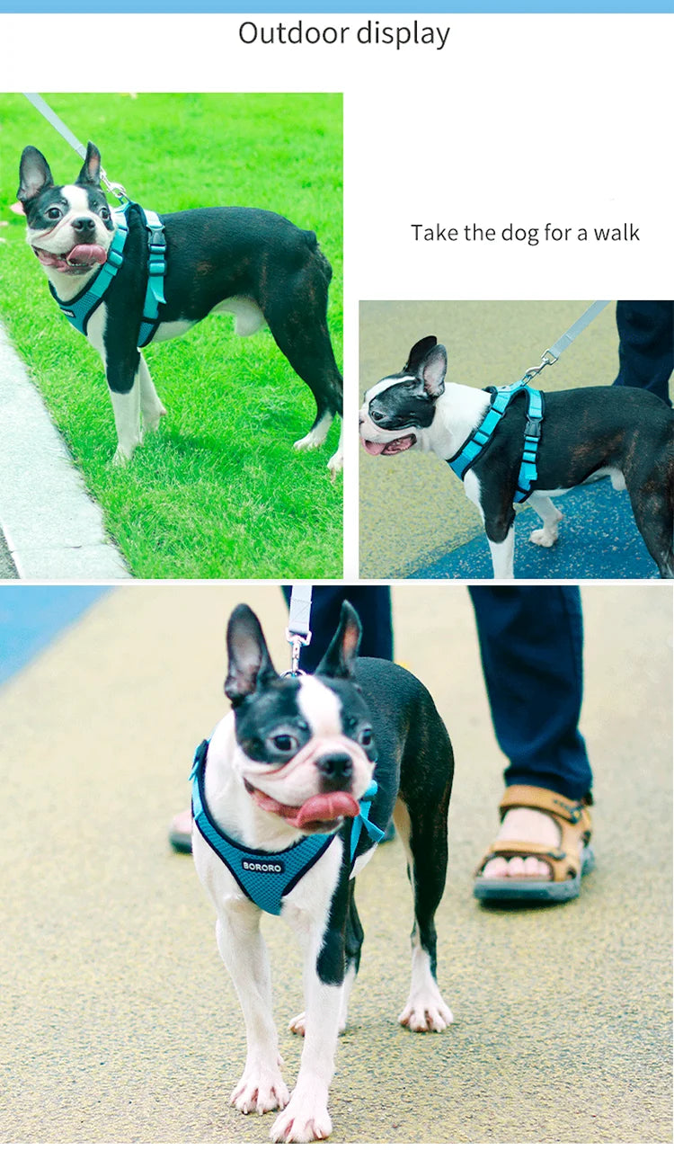 Breathable Mesh Vest Harness for Dogs & Cats
