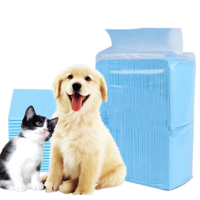 Winter-Ready Super Absorbent Disposable Pet Training Pads