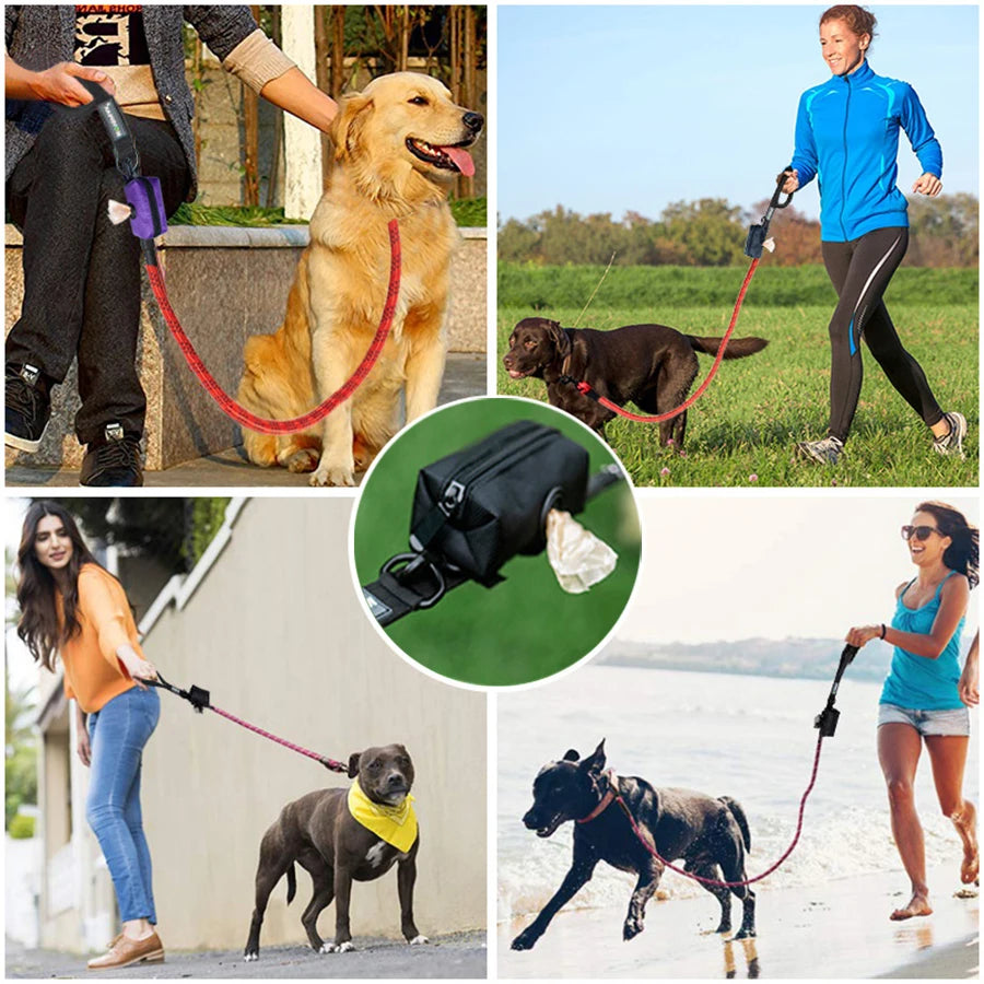 Reflective Dog Leash with Poop Bag Dispenser