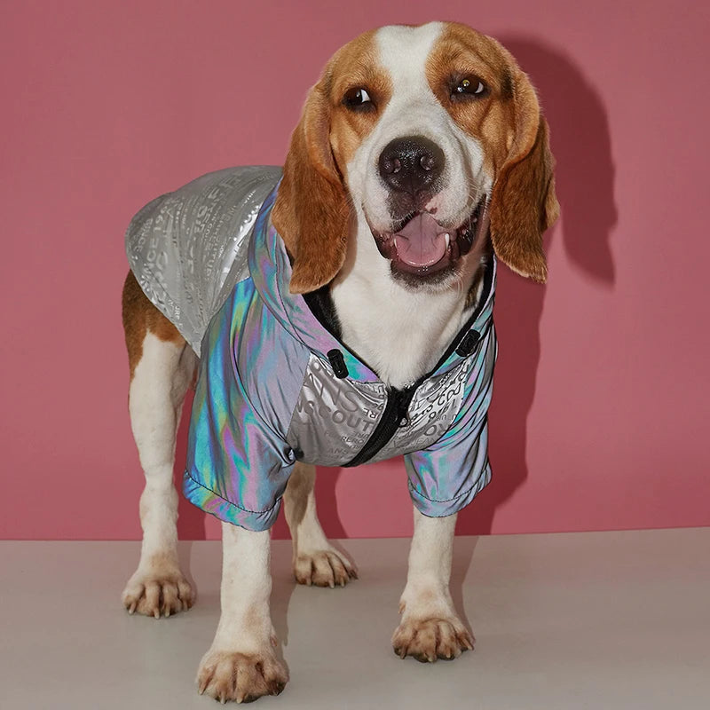 Waterproof Reflective Dog Jacket – Colourful Fashion Coat for All Sizes