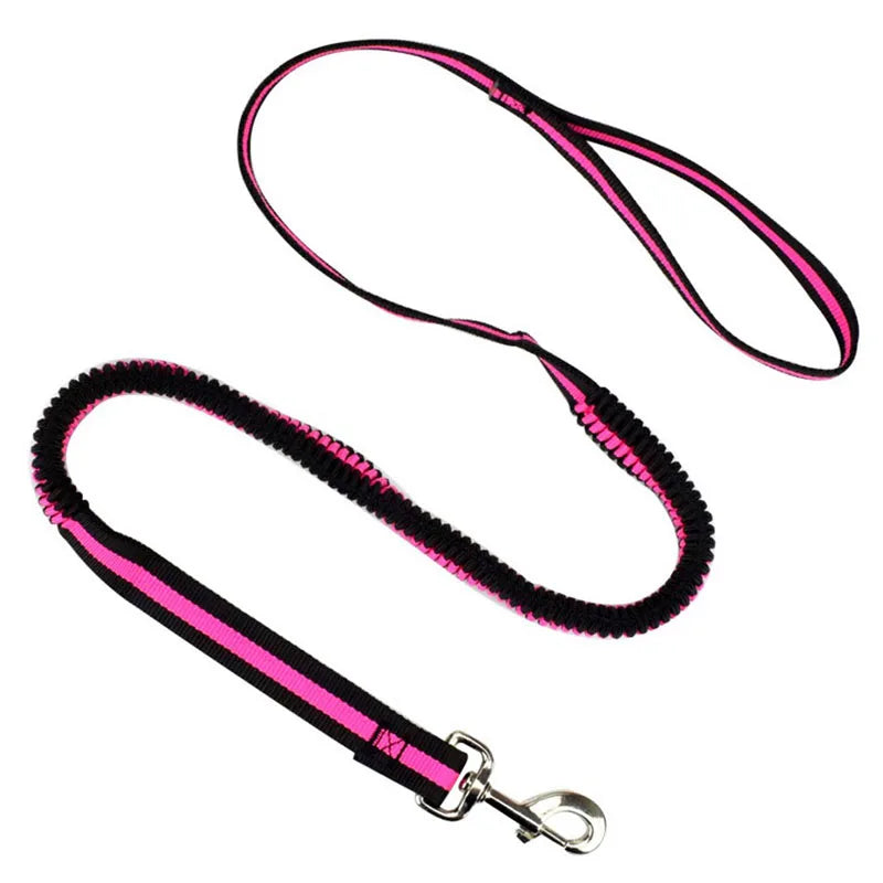 Laisse élastique anti-traction pour animaux (190 cm)