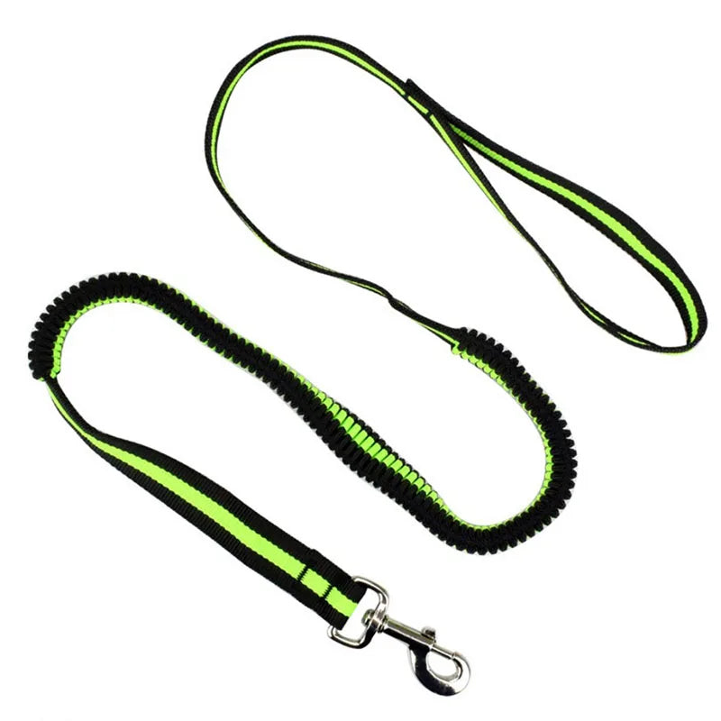 Laisse élastique anti-traction pour animaux (190 cm)