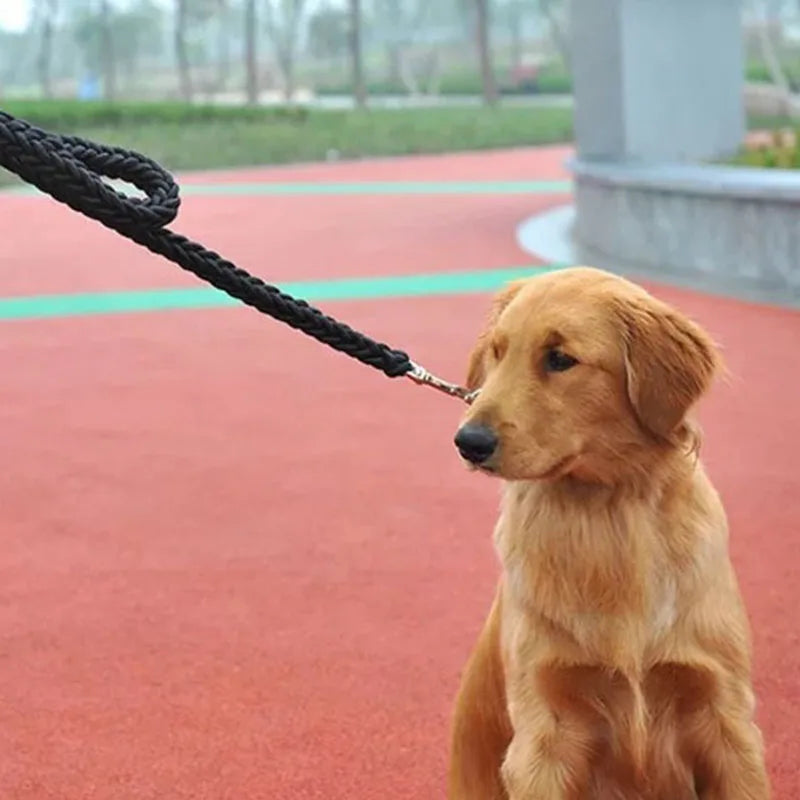Heavy Duty Nylon Dog Leash & Collar Set - 130cm