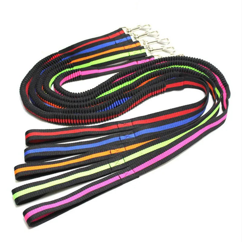 Laisse élastique anti-traction pour animaux (190 cm)