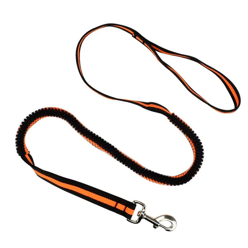 Laisse élastique anti-traction pour animaux (190 cm)