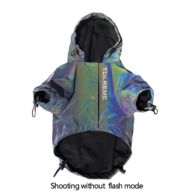 Waterproof Reflective Dog Jacket – Colourful Fashion Coat for All Sizes