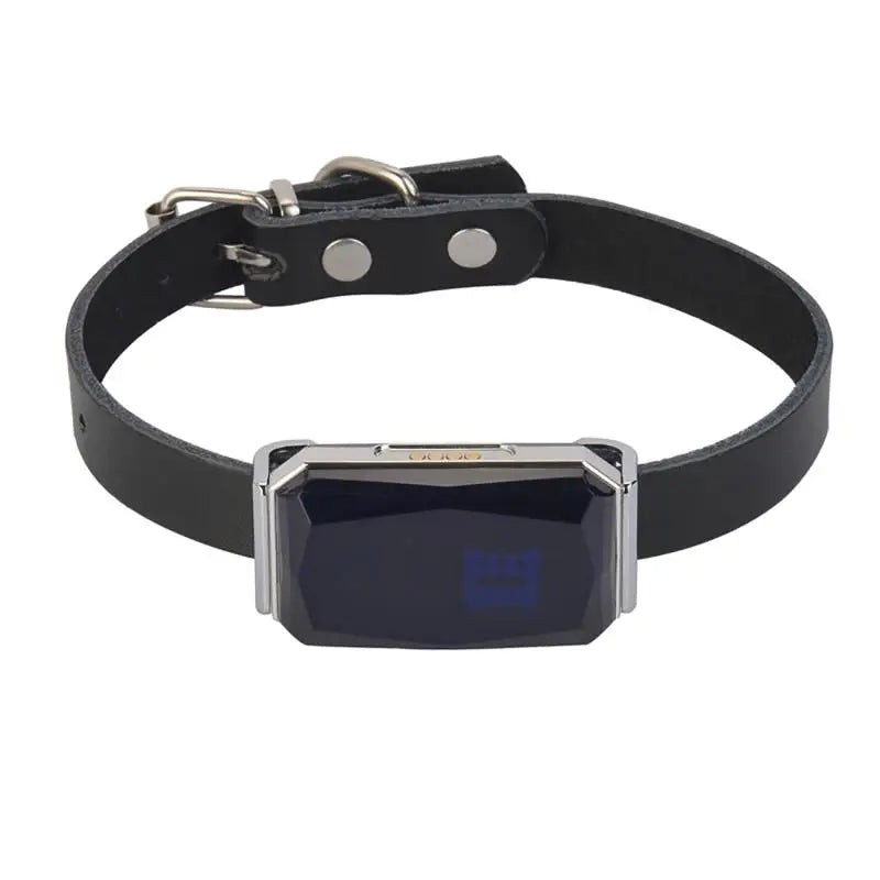 IP67 Multi-Mode GPS Tracker for Pets & Kids — Geofence, SOS & Two-Way Call