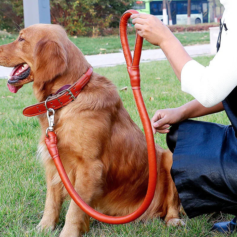 Leather Big Dog Collar and Leash Sets for Medium Large Dogs Doberman Golden Retriever Super Strong Pet Leashes Outdoor Product