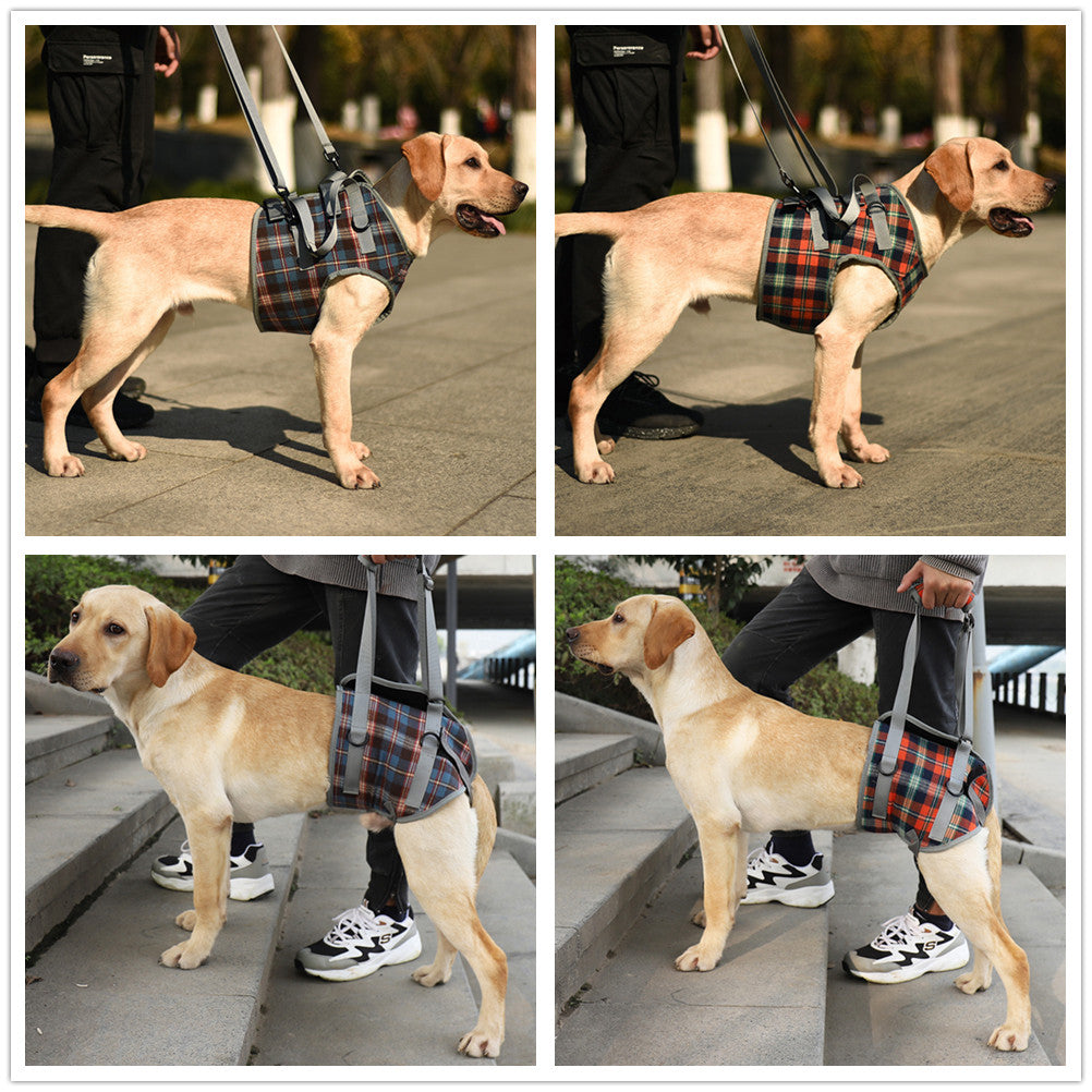 Adjustable Dog Rehabilitation Support Harness