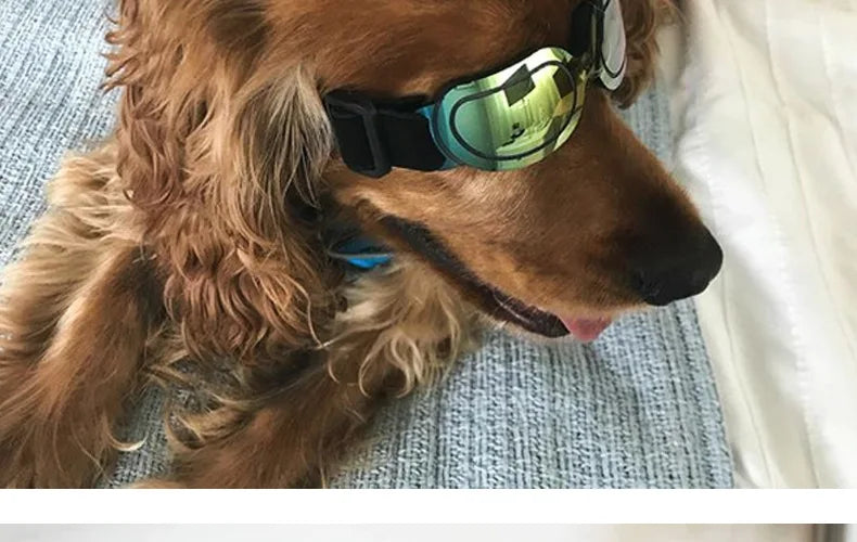 Adjustable Dog Sunglasses & Goggles