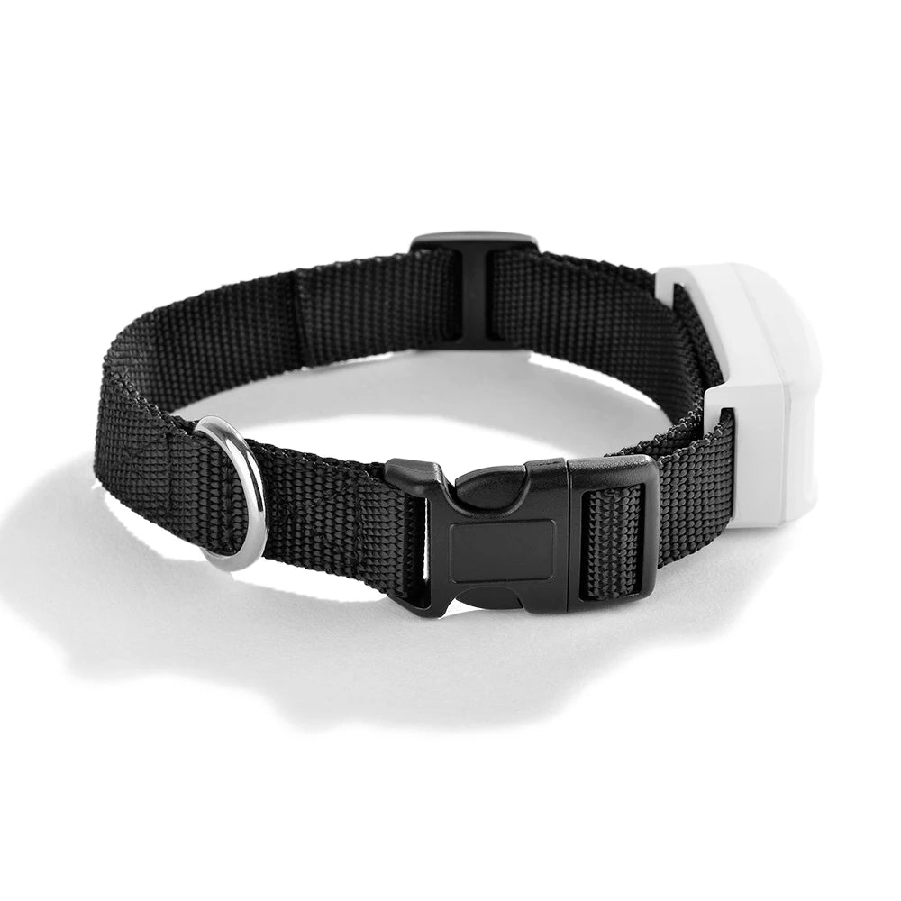 Compact Pet GPS Tracker