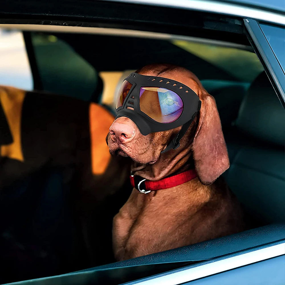 UV Protection Windproof Dog Goggles & Sunglasses