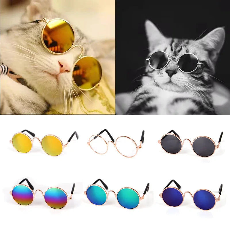 Vintage Round Pet Sunglasses for Cats & Small Dogs