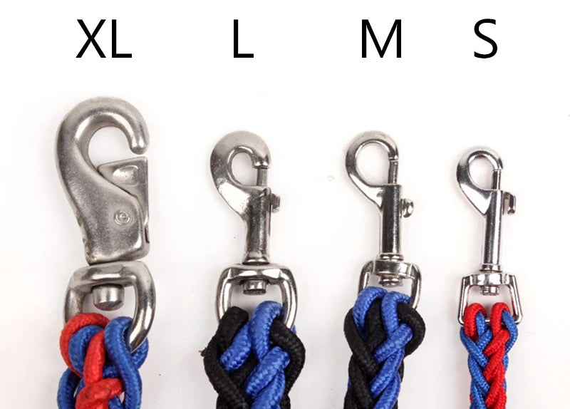 Heavy-Duty Nylon Dog Lead