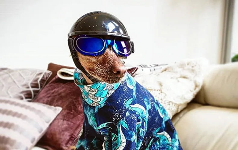 Adjustable Dog Sunglasses & Goggles