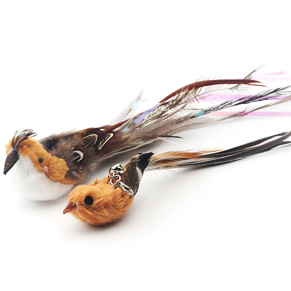 Feather Bird Cat Teaser Toy Set (2 Pack)