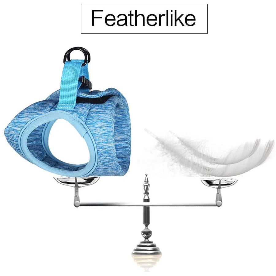 Anti-Escape Kitten Harness & Leash Set