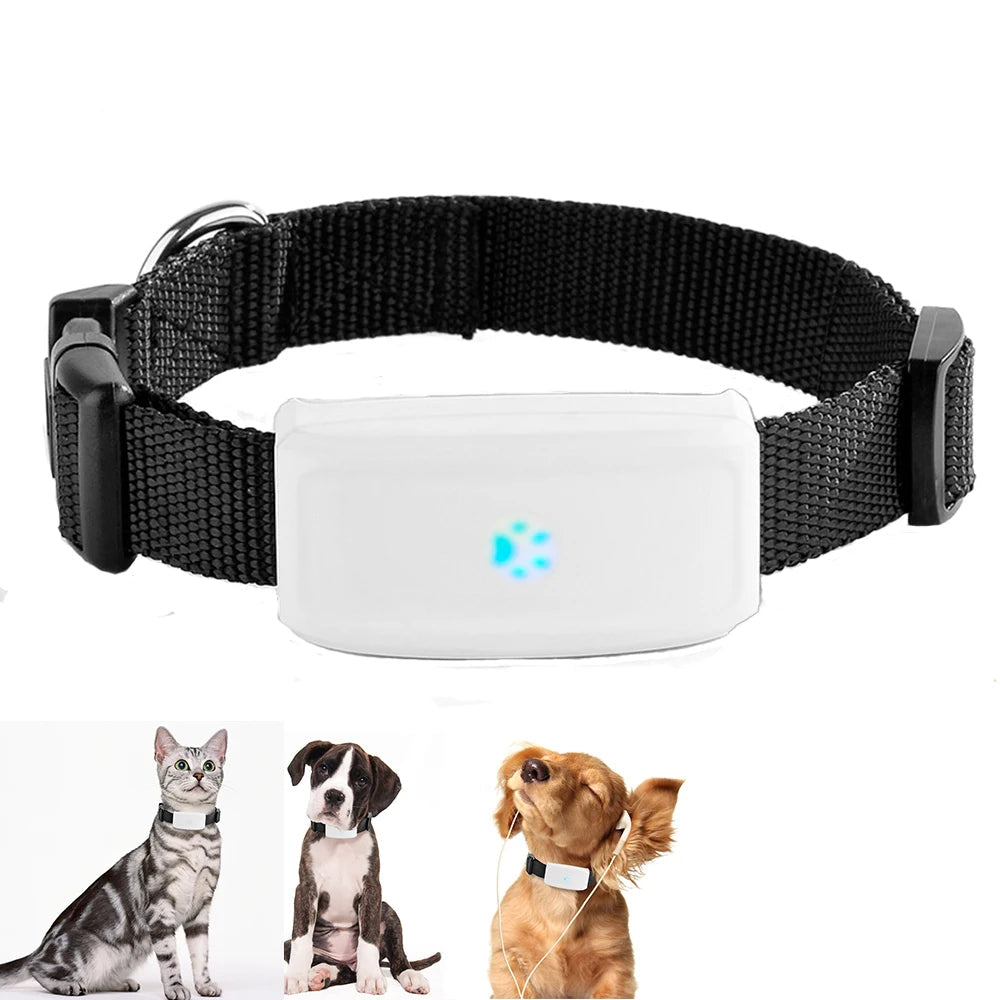 Compact Pet GPS Tracker