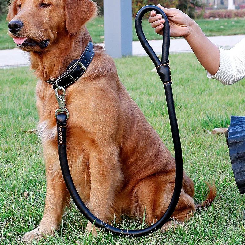 Leather Big Dog Collar and Leash Sets for Medium Large Dogs Doberman Golden Retriever Super Strong Pet Leashes Outdoor Product