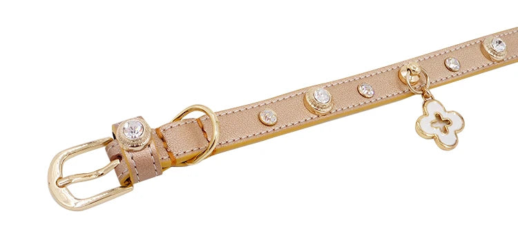 Rhinestone Genuine Leather Dog & Cat Collar