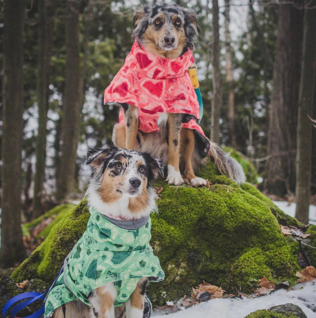 Waterproof Winter Dog Jacket – Warm Outfit for Small, Medium & Large Dogs