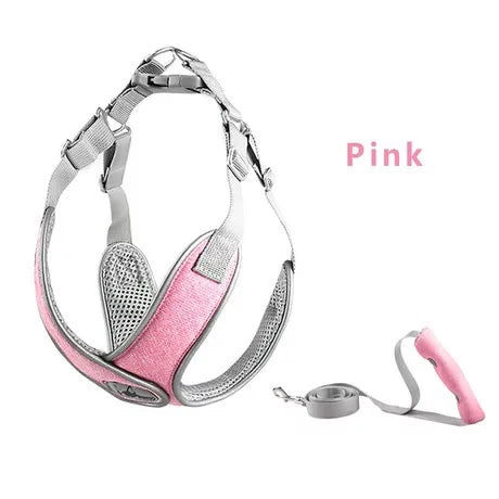 Reflective Mesh Dog Harness & Leash Set for Small & Medium Dogs