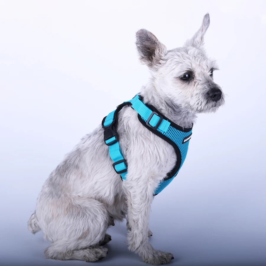 Breathable Mesh Vest Harness for Dogs & Cats