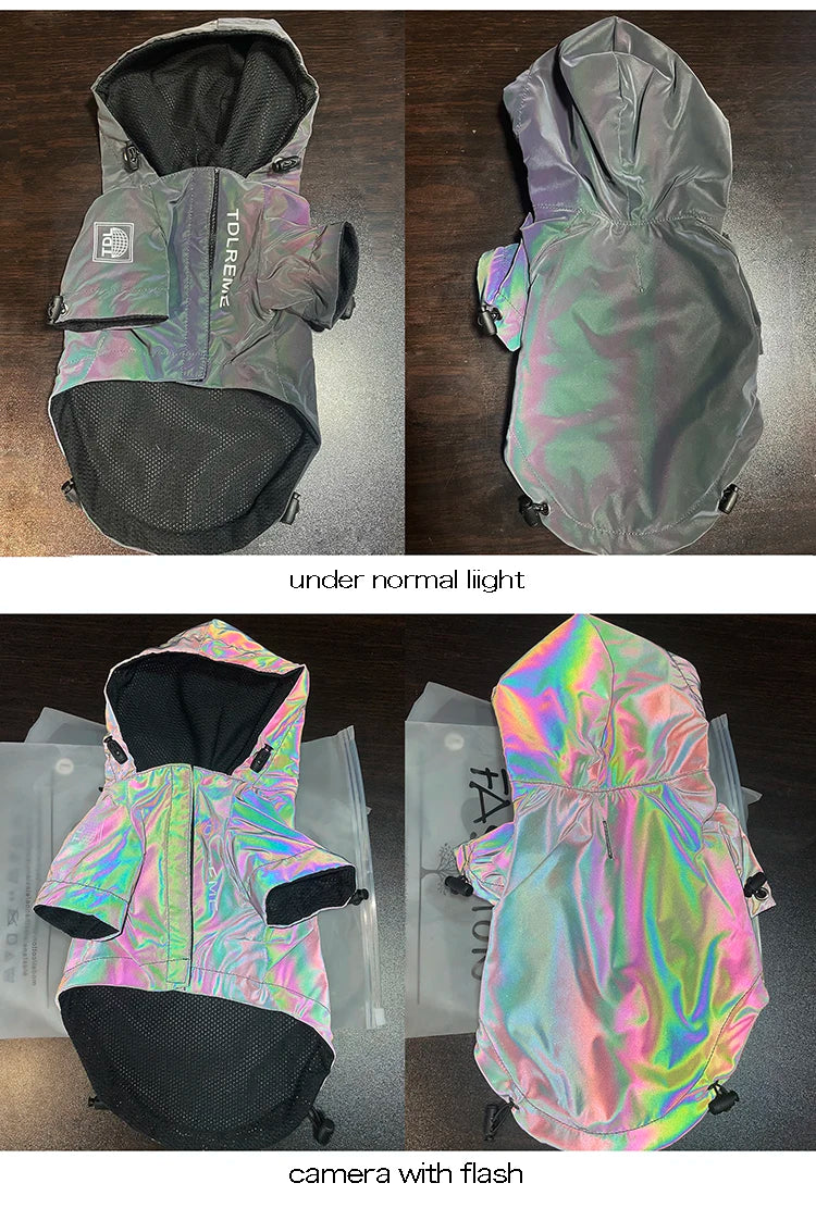 Waterproof Reflective Dog Jacket – Colourful Fashion Coat for All Sizes