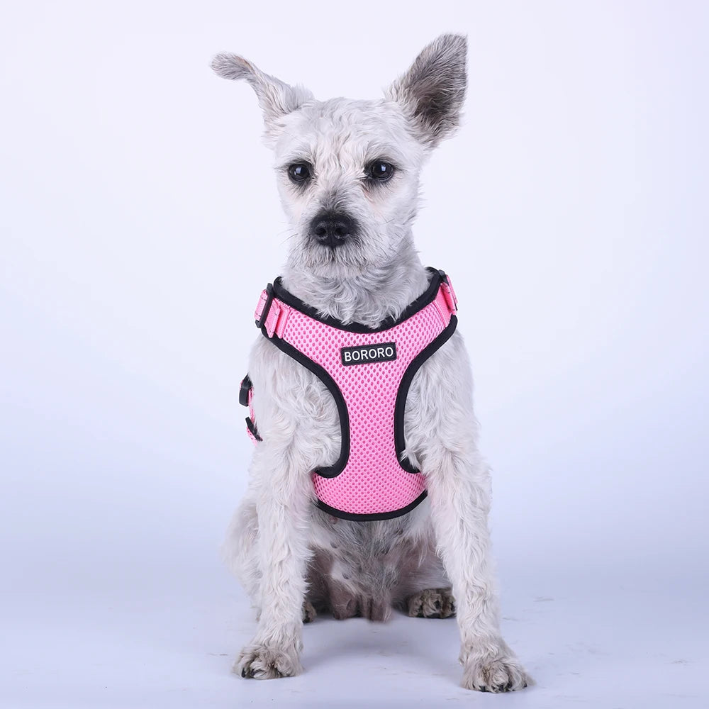 Breathable Mesh Vest Harness for Dogs & Cats