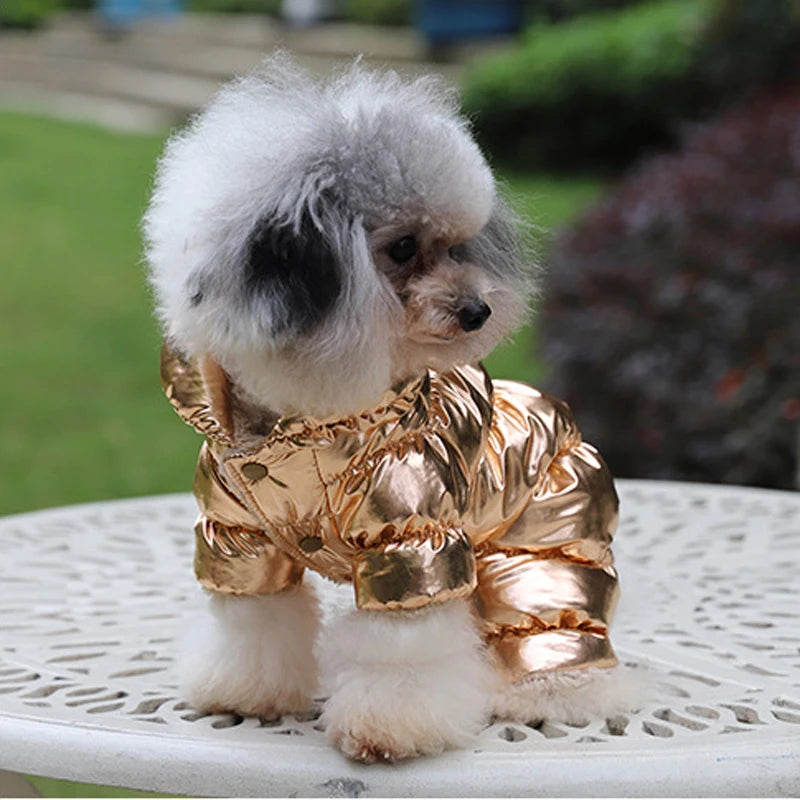 Waterproof Winter Down Jacket for Small Dogs